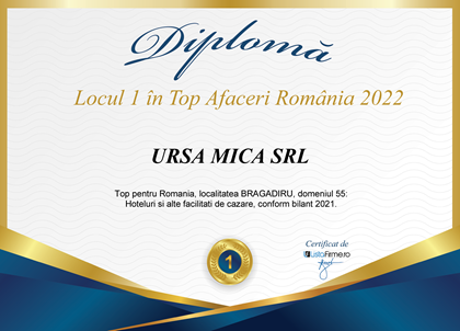 TOP 1 AFACERI 2022