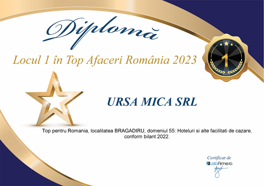 TOP 1 AFACERI 2023