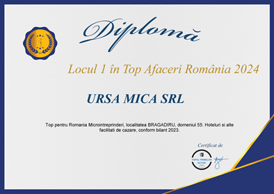TOP 1 AFACERI 2024