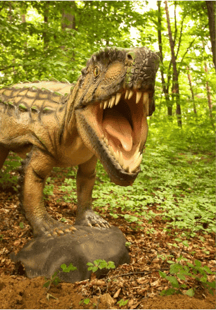 Dino Park Visit