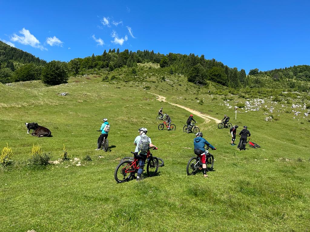 E-Bike