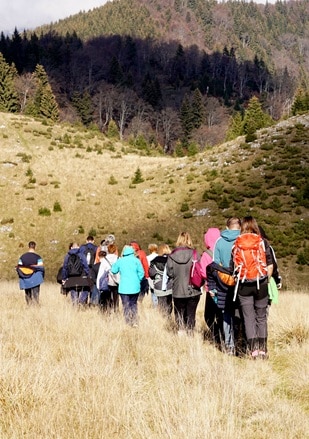 DRUMEȚII